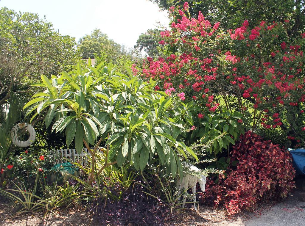 Heron Cay Lakeview Bed & Breakfast Mount Dora Exteriér fotografie