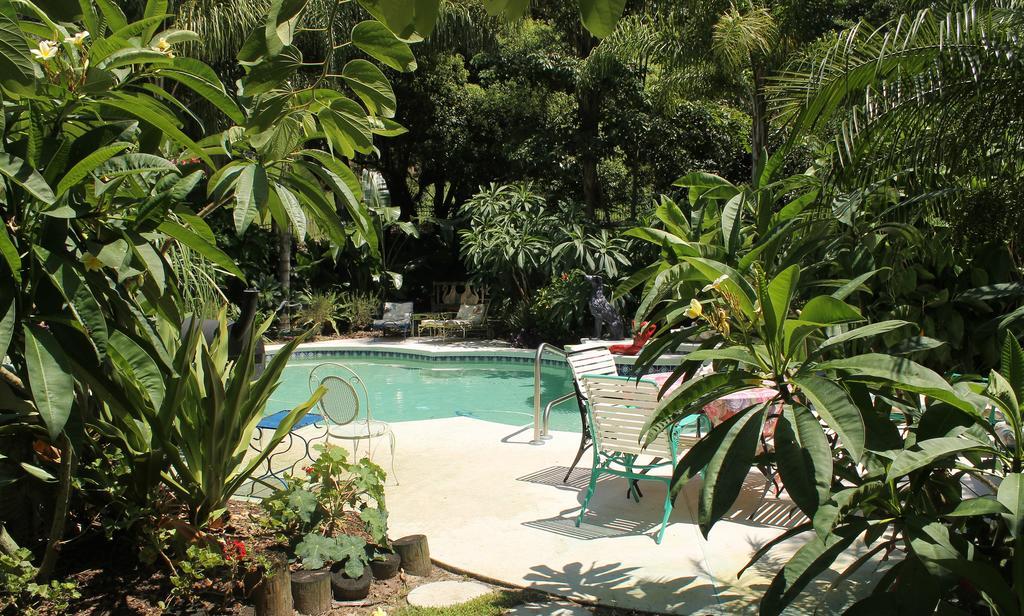 Heron Cay Lakeview Bed & Breakfast Mount Dora Exteriér fotografie